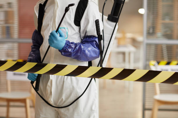 Professional Infectious Disease Decontamination technician working in Forest Falls, CA