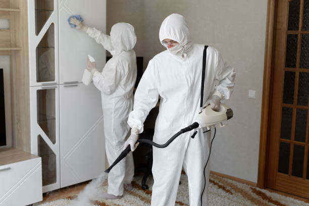 24/7 Emergency Infectious Disease Decontamination experts in Forest Falls, CA