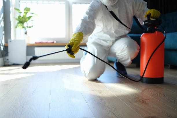Reliable Infectious Disease Decontamination contractor in Forest Falls, CA by Crime Scene Cleaner Online